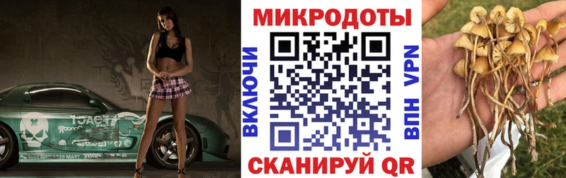 Галлюциногенные грибы мицелий как найти закладки Сим